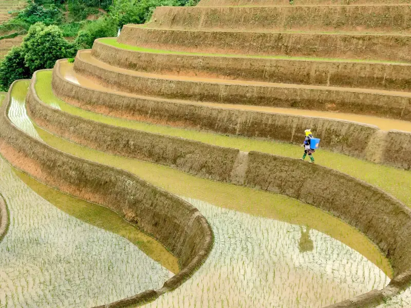 上海楠殇商科技智能设备选购指南:电脑周边配件对比分析